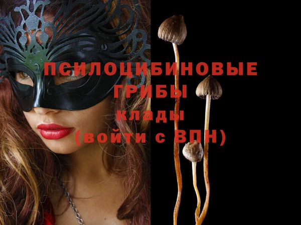 круглые Заводоуковск