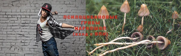прущая мука Заволжск